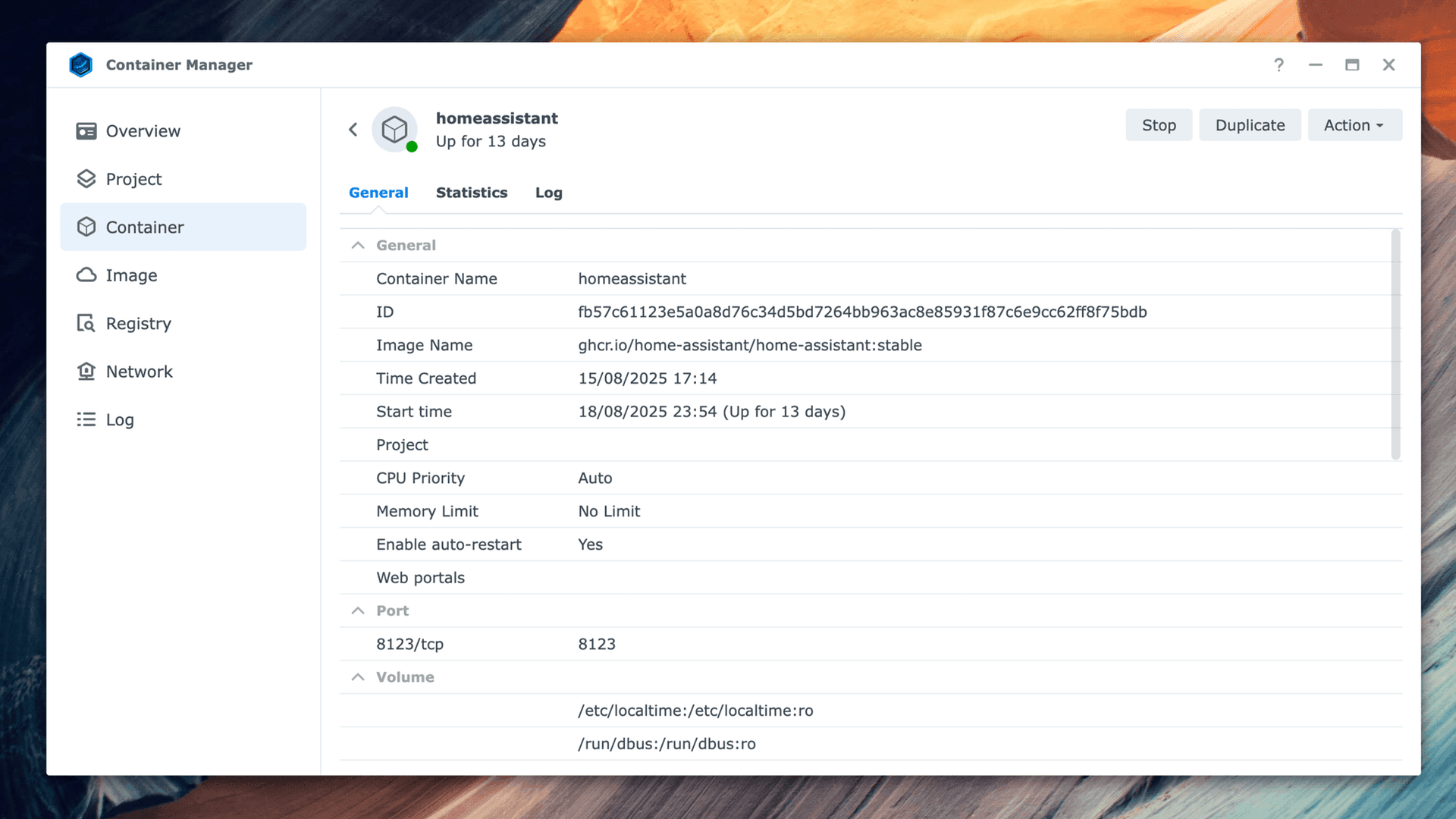Screenshot of the Home Assistant container in Synology Container Manager.